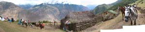 1322 view with horses